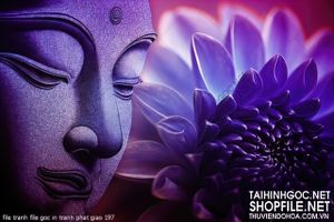 file tranh file goc in tranh phat giao 197