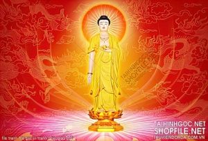 file tranh file goc in tranh phat giao 201