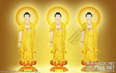 file tranh file goc in tranh phat giao 203