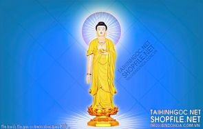 file tranh file goc in tranh phat giao 204