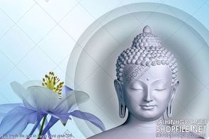 file tranh file goc in tranh phat giao 205