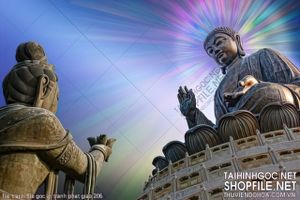 file tranh file goc in tranh phat giao 206