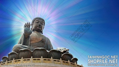 file tranh file goc in tranh phat giao 207