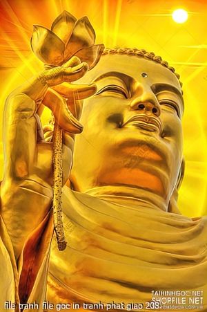 file tranh file goc in tranh phat giao 208