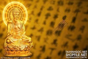 file tranh file goc in tranh phat giao 209