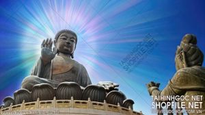 file tranh file goc in tranh phat giao 212