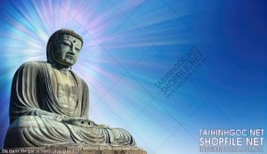 file tranh file goc in tranh phat giao 213