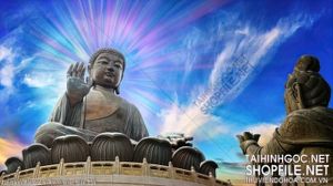 file tranh file goc in tranh phat giao 216