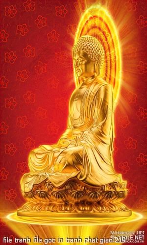 file tranh file goc in tranh phat giao 219