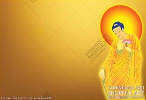 file tranh file goc in tranh phat giao 238