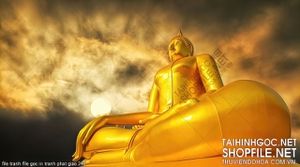 file tranh file goc in tranh phat giao 245