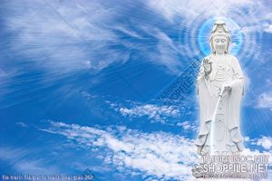 file tranh file goc in tranh phat giao 262