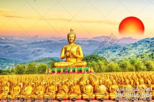 file tranh file goc in tranh phat giao 263