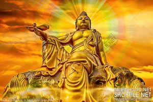 file tranh file goc in tranh phat giao 264