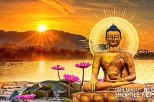 file tranh file goc in tranh phat giao 271