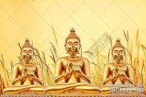 file tranh file goc in tranh phat giao 272