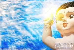 file tranh file goc in tranh phat giao 273