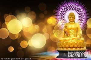 file tranh file goc in tranh phat giao 279