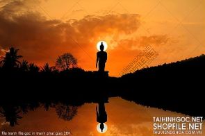 file tranh file goc in tranh phat giao 284