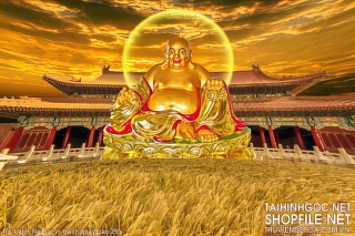 file tranh file goc in tranh phat giao 295