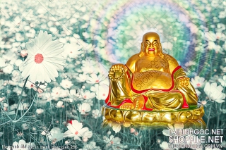 file tranh file goc in tranh phat giao 296