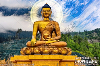 file tranh file goc in tranh phat giao 298