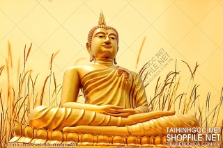 file tranh file goc in tranh phat giao 300