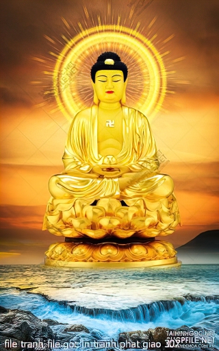 file tranh file goc in tranh phat giao 307