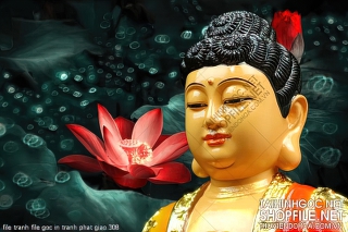 file tranh file goc in tranh phat giao 308