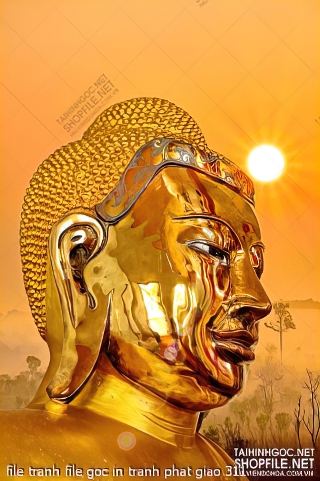 file tranh file goc in tranh phat giao 311