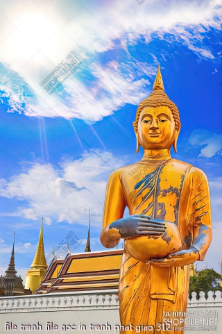 file tranh file goc in tranh phat giao 312