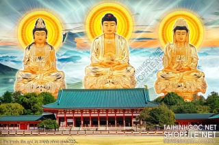 file tranh file goc in tranh phat giao 322