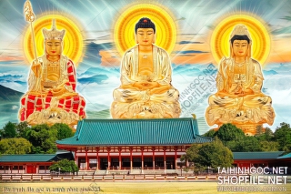 file tranh file goc in tranh phat giao 323