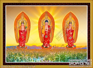 file tranh file goc in tranh phat giao 324