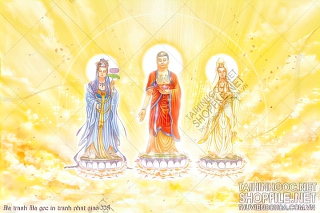 file tranh file goc in tranh phat giao 335