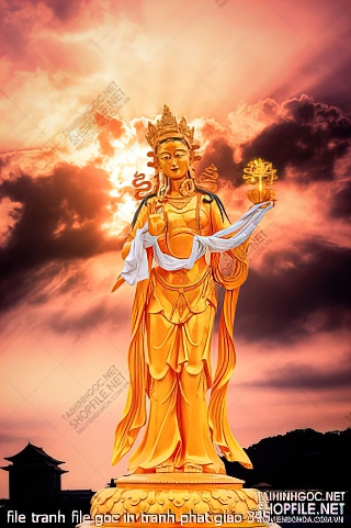 file tranh file goc in tranh phat giao 345