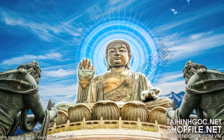 file tranh file goc in tranh phat giao 346