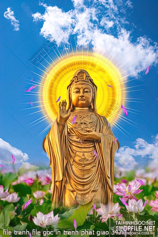 file tranh file goc in tranh phat giao 347