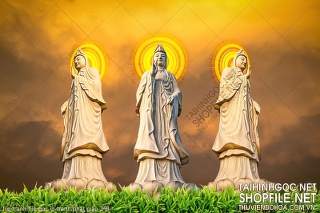 file tranh file goc in tranh phat giao 348