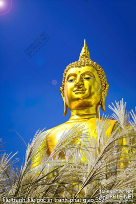 file tranh file goc in tranh phat giao 352