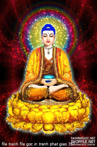 file tranh file goc in tranh phat giao 357