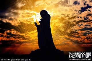 file tranh file goc in tranh phat giao 363