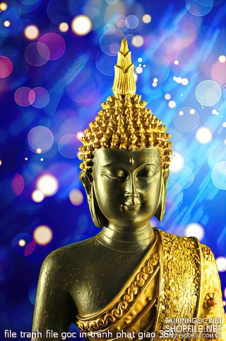 file tranh file goc in tranh phat giao 364