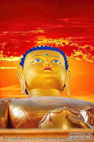 file tranh file goc in tranh phat giao 369