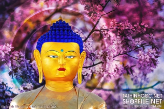 file tranh file goc in tranh phat giao 372