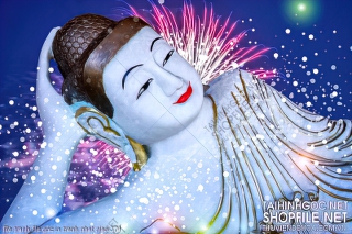 file tranh file goc in tranh phat giao 374