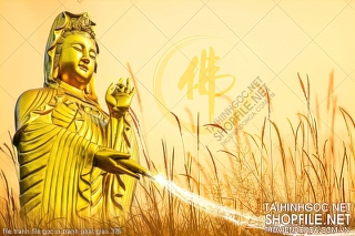 file tranh file goc in tranh phat giao 376