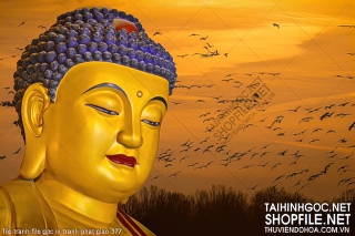 file tranh file goc in tranh phat giao 377