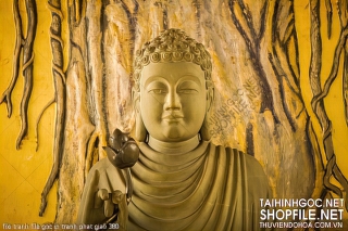 file tranh file goc in tranh phat giao 380