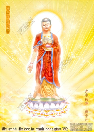 file tranh file goc in tranh phat giao 392